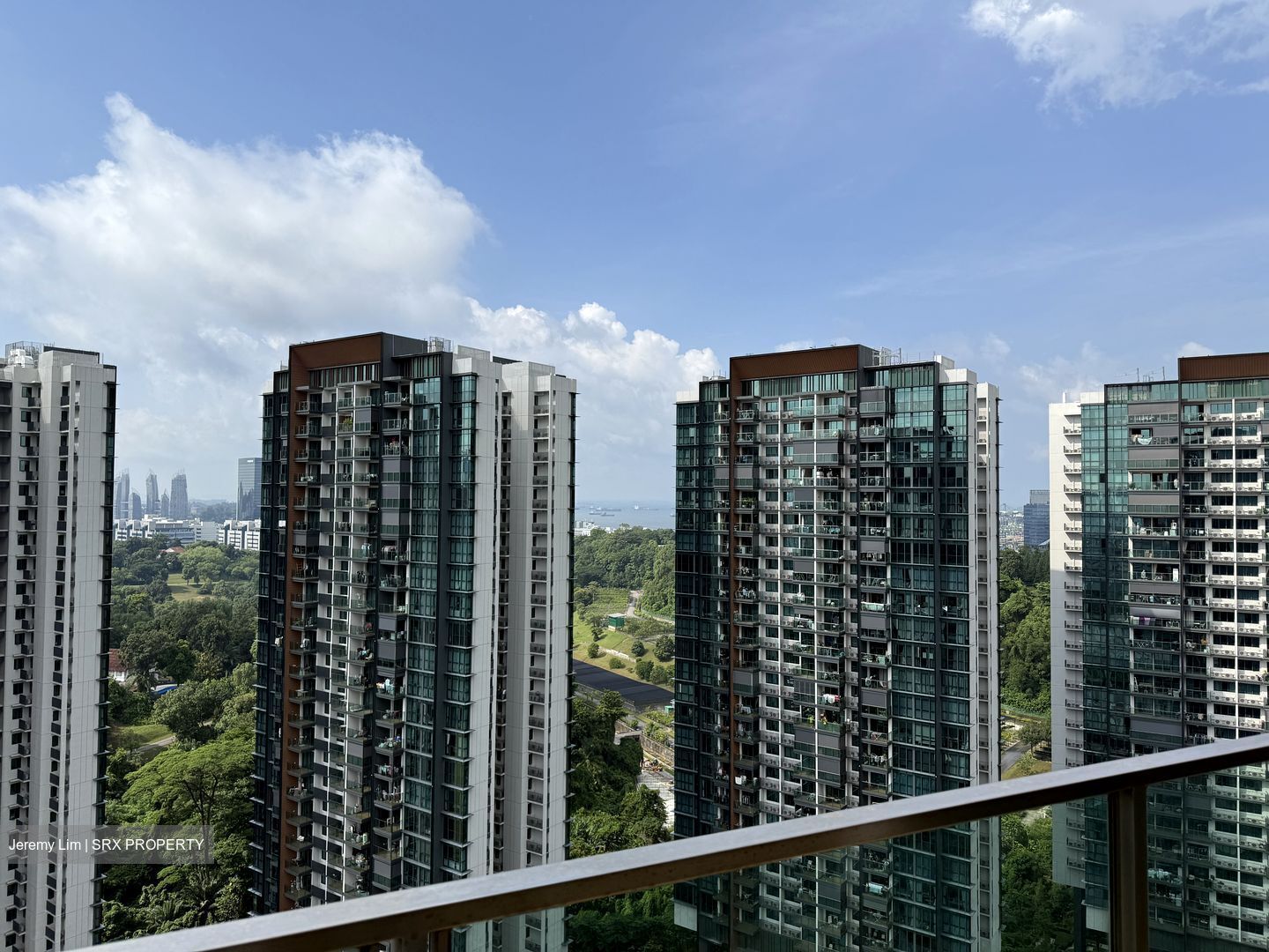 Normanton Park (D5), Apartment #452602131